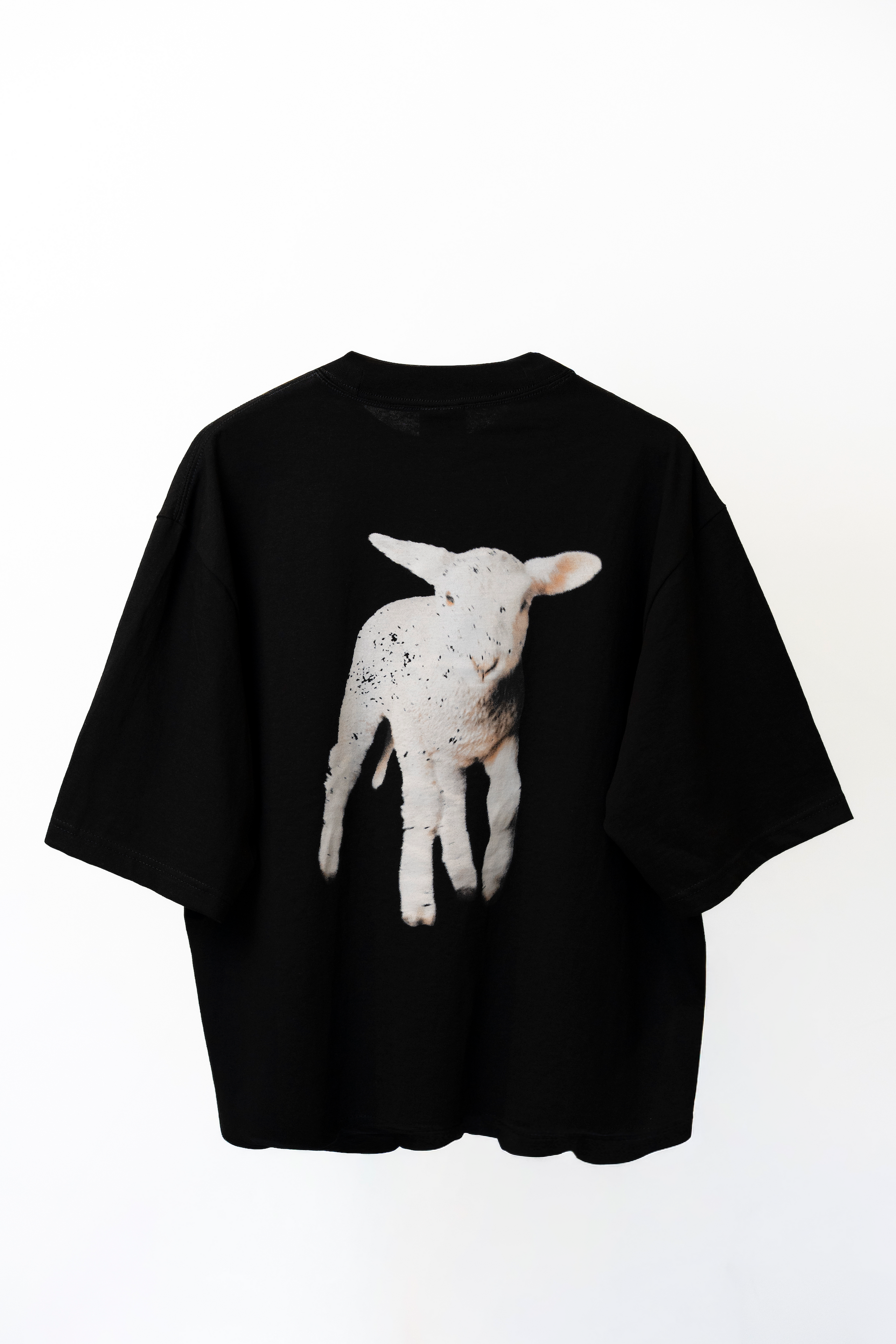 Behold The Lamb