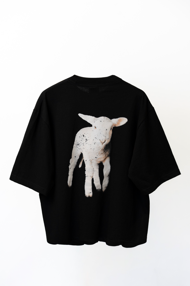 Behold The Lamb
